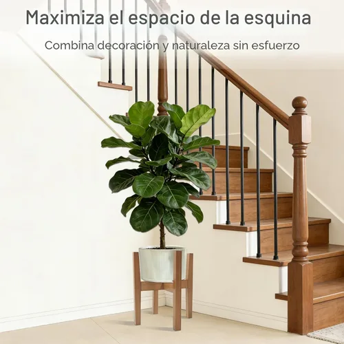 Vista 5 de Soporte de bambú natural para interiores, estante ajustable para plantas de interior que se adapta a macetas de 8 a 12 pulgadas, decoración moderna