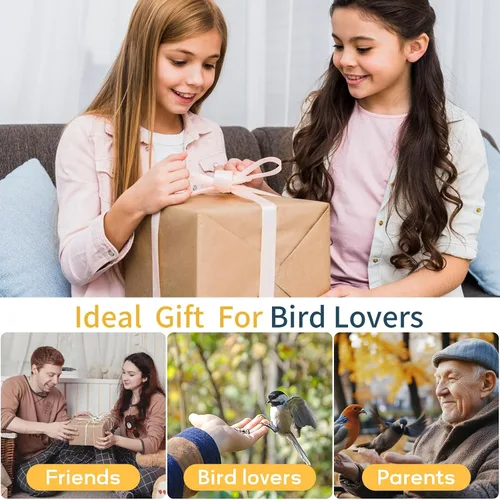 Vista 8 de Comedero para pájaros con cámara, cámara de comedero inteligente WiFi para exteriores con reconocimiento de aves AI incorporado, energía solar