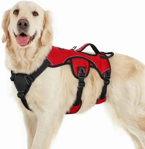 Vista 24 de rabbitgoo - Arnés para perros a prueba de fugas, arnés para mascotas acolchado y suave de cuerpo completo, arnés reflectante ajustable sin tirones
