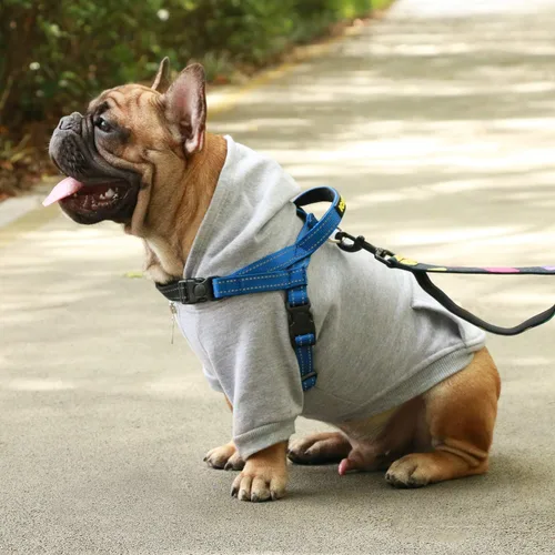 Vista 5 de iChoue Arnés para bulldog francés, ajustable, acolchado, hebilla bloqueada con asa para perros carlino francés, Boston Terrier inglés, azul, talla S