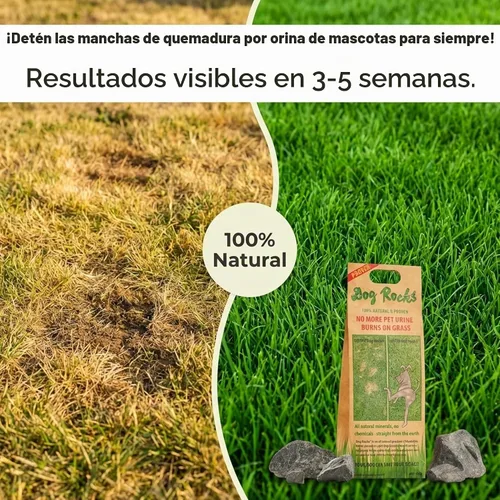 Vista 2 de Rocas para perros, para prevenir marcas de quemaduras del césped, en un suministro de 2 meses