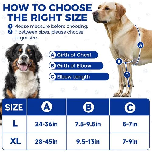 Vista 5 de Codera para perro con paquete de gel caliente/frío, soportes ajustables para piernas de perro, soporte de hombro delantero para perro, coderas