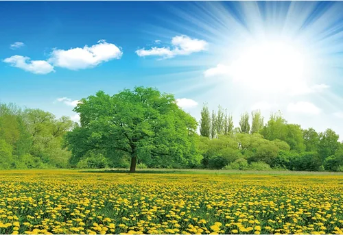 Vista 5 de Telón de fondo de primavera de 5 x 3 pies, cielo azul, nubes blancas, flores, fondo de fotografía de jardín para retratos de niños y adultos, fiesta