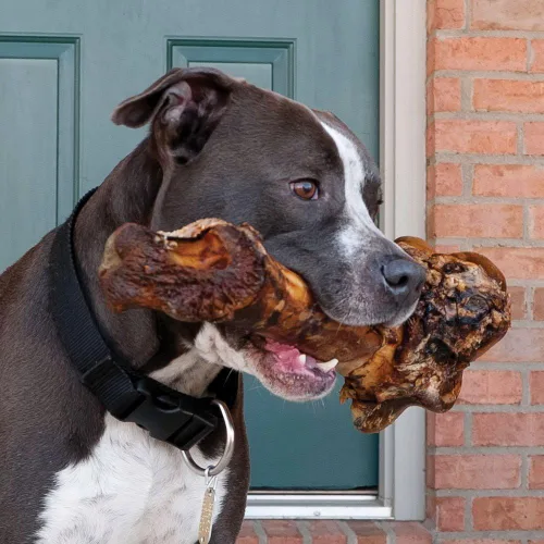 Vista 4 de EcoKind Hueso de fémur gigante para perros 1 hueso Huesos de perro de mamut de larga duración para masticadores agresivos, golosinas saludables
