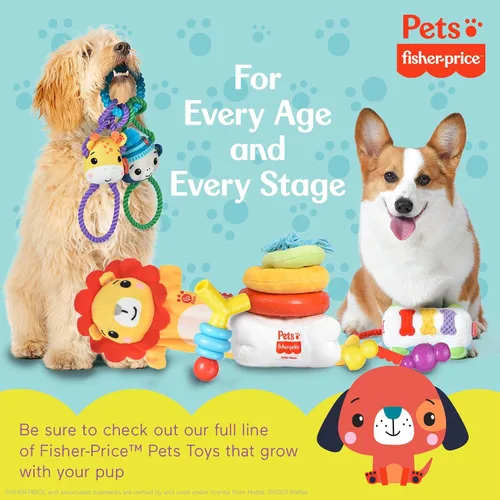 Vista 6 de Fisher Price Attack-A-Stack - Juguete para perros Diseño de cuerda apilable, para perseguir y lanzar, producto oficial para mascotas Fisher Price