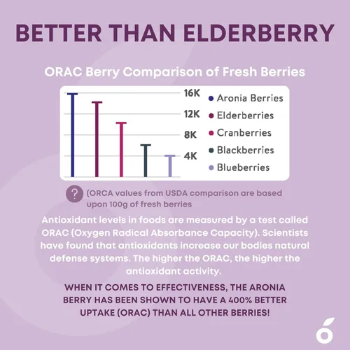 Vista 8 de Aronia SuperBerry - Gomitas de apoyo inmunológico diario, ricas en antioxidantes, mejor que la baya del saúco, gran sabor a bayas naturales, 60