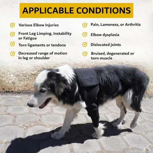 Vista 8 de AGON Codera para perro para soporte de codo - Estabilizador de bisagra ajustable protector de codo para perro - Soporte de codo de neopreno