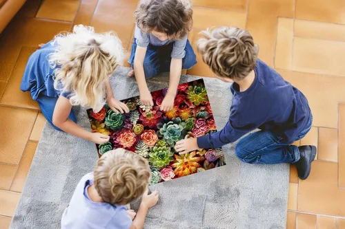 Vista 3 de Rompecabezas de 500 piezas para adultos, plantas suculentas, rompecabezas familiar, regalo (suculenta, 500 piezas)
