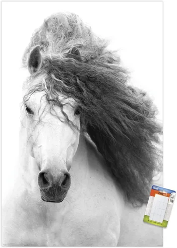 Vista 17 de Trends International Póster de pared de caballo en escala de grises, 14.725 x 22.375 pulgadas, versión enmarcada de madera de granero Versión