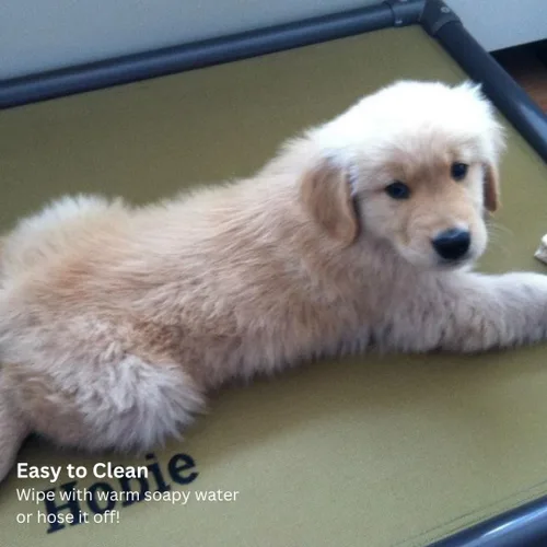 Vista 69 de Kuranda Cama elevada para mascotas a prueba de masticación - PVC almendra - 25" x 18" - Cordura Nylon - Borgoña
