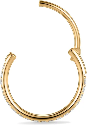 Vista 3 de FUNLMO Arete de caracola para nariz de calibre 20, 18, 16 y 12, rook, daith, hélix tragus, piercing de acero quirúrgico 316L, aretes para cartílago