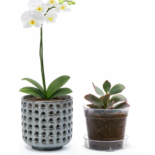 Vista 12 de D'vine Dev Orchid Pot, Clear Pot & Saucer, Smoked White, 6.7 in, 28-A-Y-1 Blanco ahumado