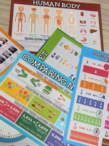 Vista 8 de Flora Maria Shop Juego de 33 pósteres educativos para niños de 1 a 3 años – 66 opciones de aprendizaje para niños de 3 a 5 años – Decoración