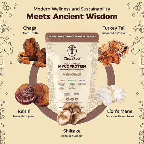 Vista 4 de Mycoprotein Mushroom Protein Powder, Chocolate Flavor, 20g Plant Based Protein per Serving, Reishi, Chaga, Lions Mane, Shiitake, Turkey Tail, Vegan
