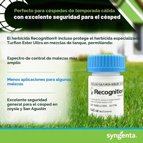 Vista 6 de Syngenta Herbicida de reconocimiento. (0.45 onzas) Asesino de malezas dispersable en agua – Control de malezas post-emergencia para césped, parada