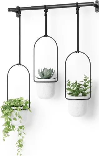 Vista 8 de Umbra Triflora - Maceta colgante para ventana, jardín de hierbas de interior, juego de 5, color negro