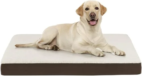 Vista 22 de Friends Forever Cama ortopédica para perro, camas refrescantes para perros con funda extraíble lavable, alfombrilla reversible para mascotas