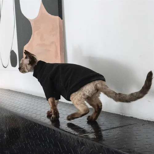 Vista 5 de Ropa de gatos sin pelo, camiseta de algodón, chaleco transpirable para primavera y otoño, ropa de gato con cuello alto para Sphynx, Cornish Rex