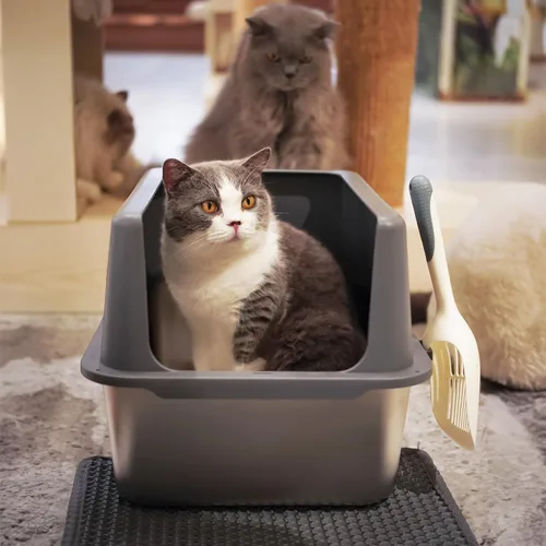 Vista 2 de Caja de arena para gatos de acero inoxidable, bandeja de arena de metal cubierta, bandejas de arena para gatos con lados altos, caja de arena