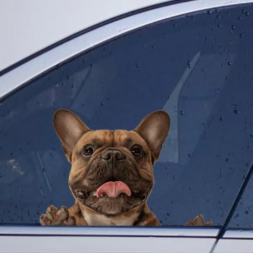 Vista 38 de Calcomanías de perro caniche, divertidas calcomanías de vinilo troqueladas para automóvil, laptop, parachoques Estilo-37