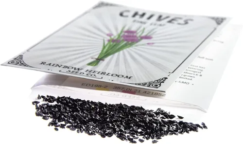 Vista 5 de Semillas de cebollino para plantar Variedad de hojas finas (paquete de 0.04 oz - aproximadamente 250 semillas) Semillas sin OMG y reliquia