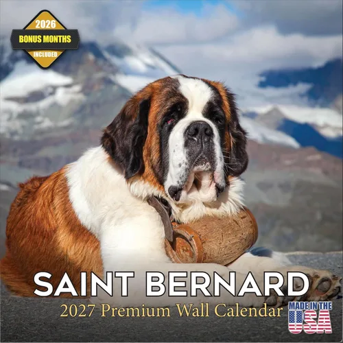 Vista 59 de Calendario de Lebrel Afgano 2025 2026, calendario mensual de pared de raza canina, 12" x 18" abierto, papel grueso sin traspaso, ideal para regalo