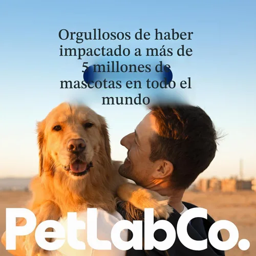 Vista 7 de PetLab Co. - Masticables para aliviar la picazón para perros, 30 masticables suaves, cerdo Omega 3-6-9, cúrcuma y miel para apoyar la piel seca