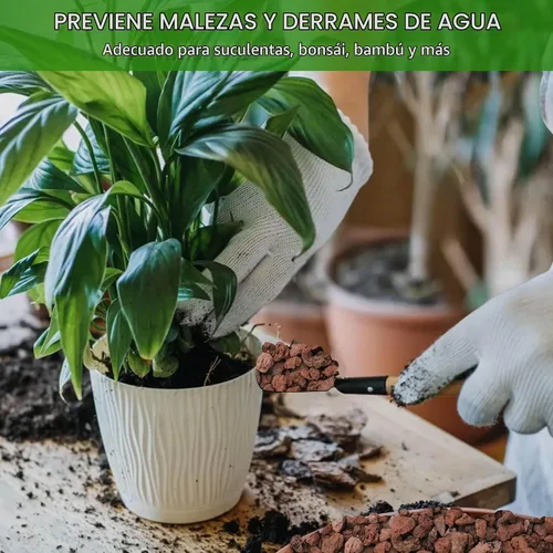 Vista 4 de NUPICK Rocas de lava roja de 3 libras para plantas, enmiendas de suelo para Rojo
