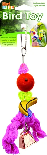 Vista 3 de [Usado] PENN-PLAX Kit de iniciación para pájaros pequeños con jaula y accesorios, ideal para periquitos, tortolitos, loros, pinzones, canarios