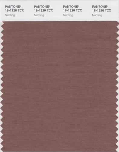 Vista 26 de PANTONE Tarjeta de muestra de color inteligente 18-1314X, bellota