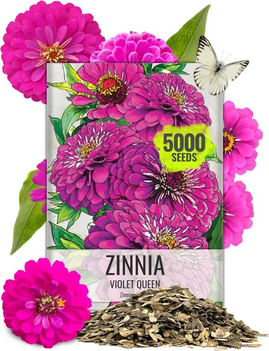 Vista 18 de Seed Needs State Fair - Semillas de zinnia para plantar flores cortadas mixtas, 1 paquete 4-Mezclado