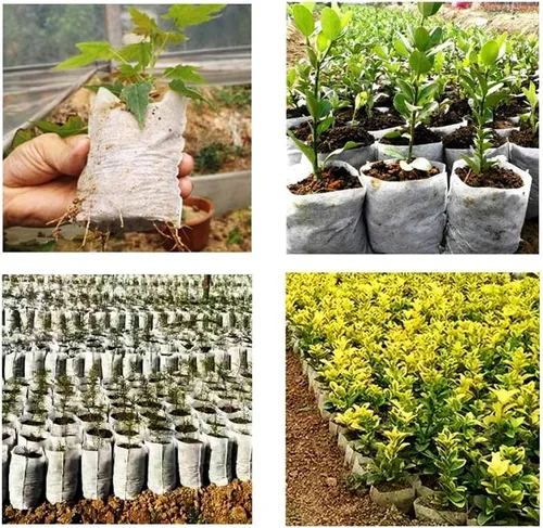 Vista 4 de TITA-DONG 200 bolsas biodegradables no tejidas para vivero, frutas de flores vegetales, bolsas de fibra de trasplante de suelo, bolsa de cultivo