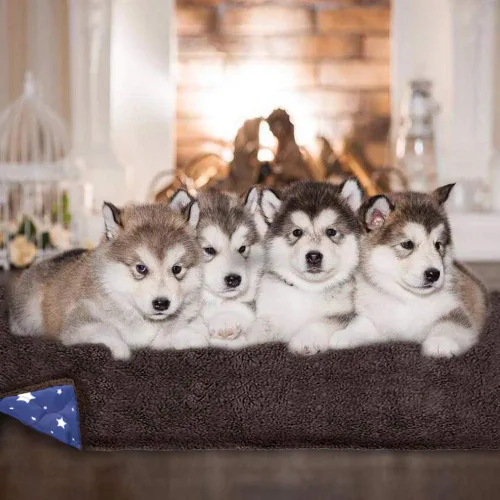 Vista 3 de miadore Manta impermeable para perro, forro polar suave y nailon para mascotas, cojín para sofá, cama, sofá, asiento de automóvil para perros