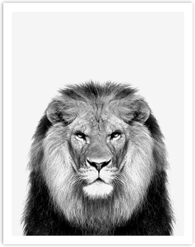 Vista 6 de 4 Piece Safari Zoo Animal Nursery Set, Neutral Wall Decor, Kids Bedroom, Children's Room Animal Print Collage 4 Piece Set, 11 x 14 inches each