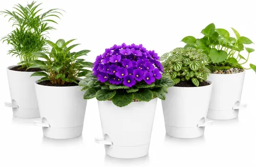 Vista 12 de Paquete de 12 macetas de riego automático de 4 pulgadas con drenaje y platillos, macetas de plástico para plantas de interior y exterior, macetas
