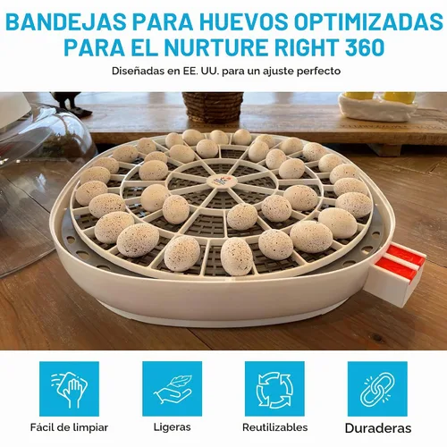 Vista 2 de Bandeja de huevos duradera para incubadora de huevos Nurture Right 360, 48 huevos de codorniz/pájaro