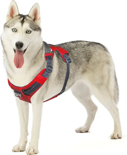 Vista 16 de Outward Hound Boulder Adventure - Arnés ajustable para perro con bolsillos, turquesa, mediano