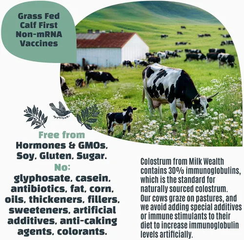 Vista 7 de Milk Wealth™ Polvo de calostro bovino 1.76 oz IgG natural y liofilizado Apoyo para la salud inmune e intestinal Alimentado con pasto y sin