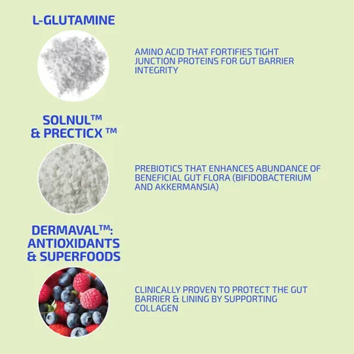 Vista 4 de Prebióticos para la salud digestiva y el apoyo del sistema inmunológico: fibras dietéticas, antioxidantes y superalimentos para la fuerza
