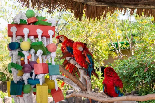 Vista 2 de Juguetes de pájaros loros extra grandes para guacamayos, loros amazónicos, accesorios de jaula de pájaros gris africano