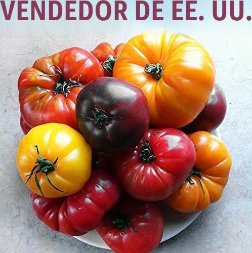 Vista 5 de This is A Mix 30 Rainbow Deluxe Tomate Seeds Mix 16 variedades, reliquia sin OMG, indeterminado, antiguo alemán, rayas de chocolate, morado