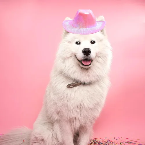 Vista 3 de Sombrero de vaquero para perro, disfraz de gato, bandana de vaquero del oeste, accesorios para mascotas, sombreros de vaquero brillantes metálicos