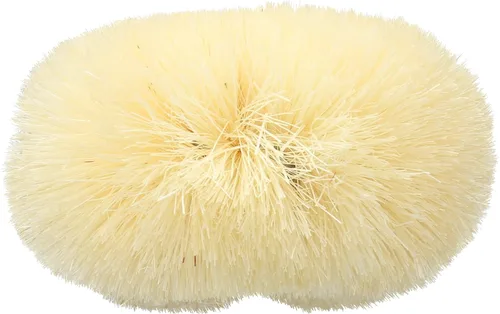 Vista 4 de Baudelaire Cepillo de baño de sisal para ducha, 9 pulgadas, cepillo tradicional de esponja de lufa de estilo japonés para una excelente exfoliación