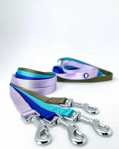 Vista 22 de Blueberry Pet - Correa Essentials clásica para perro con más de 20 colores, duradera, doble asa y de cuerda