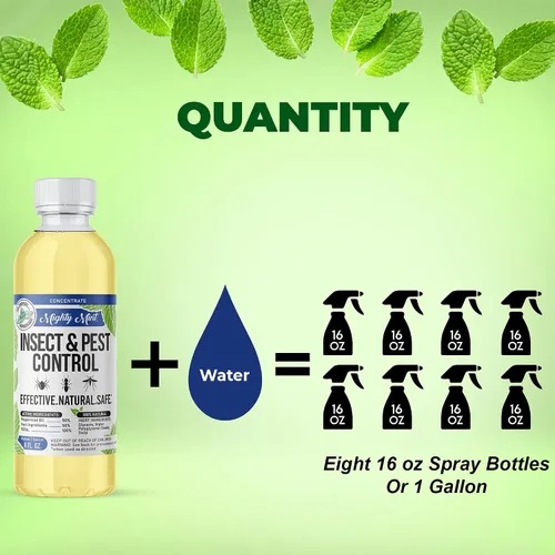 Vista 3 de Mighty Mint Concentrado repelente de insectos de aceite de menta – Control natural de insectos en interiores y exteriores para arañas, hormigas