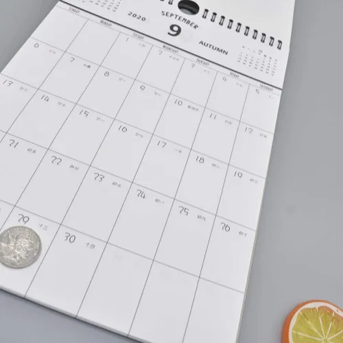 Vista 5 de NUOBESTY 2020-2021 - Calendario de pared mensual para el hogar y la oficina (2020.9-2021.12)