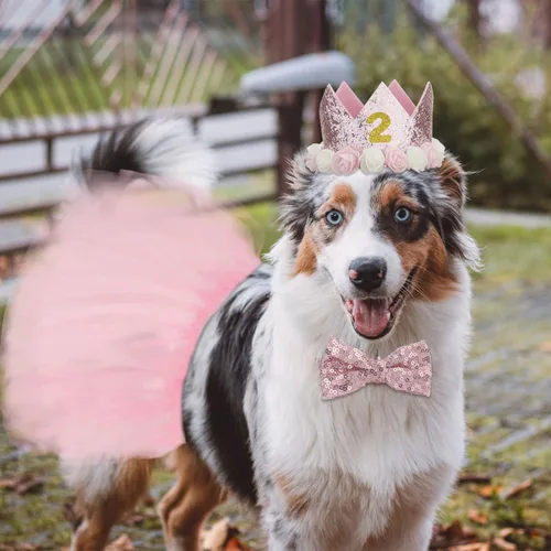Vista 6 de CIEHER Suministros para fiesta de cumpleaños para perros – Falda tutú rosa, pajarita y números para perro