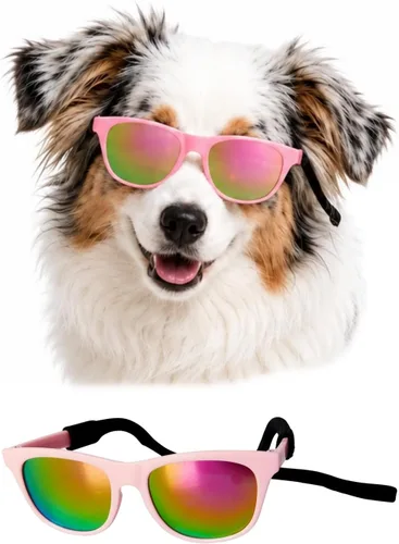 Vista 15 de G006 - Lentes de sol para disfraz de perro mascota de los años 80, para sesión de fotos, razas medianas de 20 a 40 libras