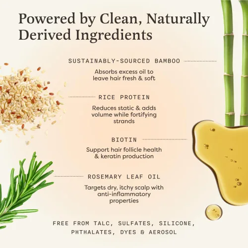 Vista 3 de The Earthling Co. Champú seco – Polvo voluminizador sin aerosol para aceite – Ingredientes naturales y orgánicos para cabello castaño y negro
