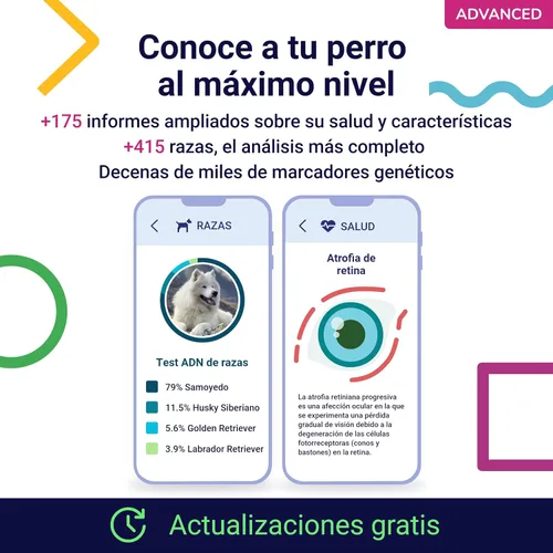 Vista 2 de Prueba de ADN Koko para perros Starter - (Informes de razas y rasgos) - Actualizaciones sin costo